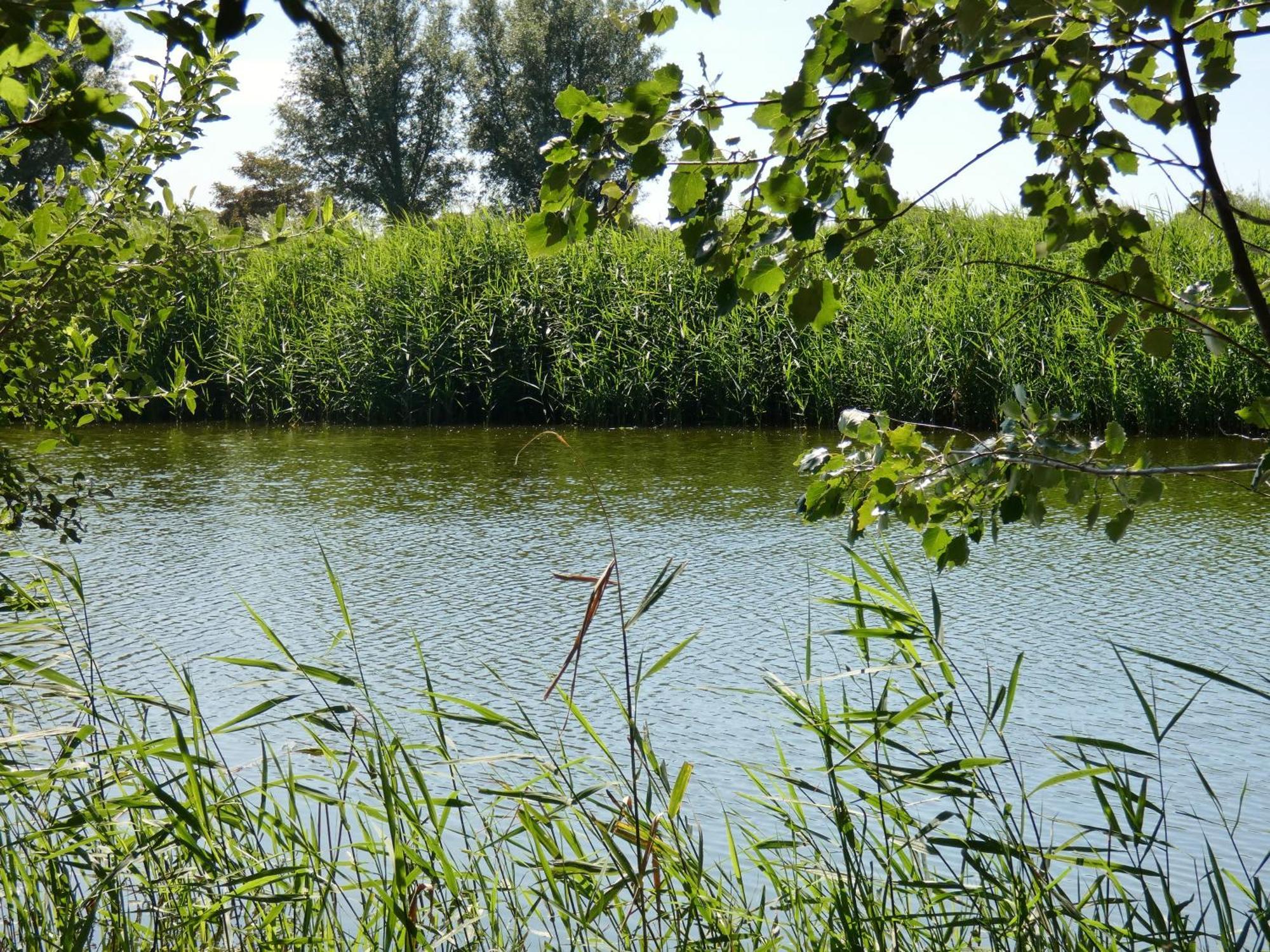 Op Unieke Locatie * Groede